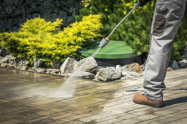 Best Boat and Dock Cleaning  in Patton Village, TX